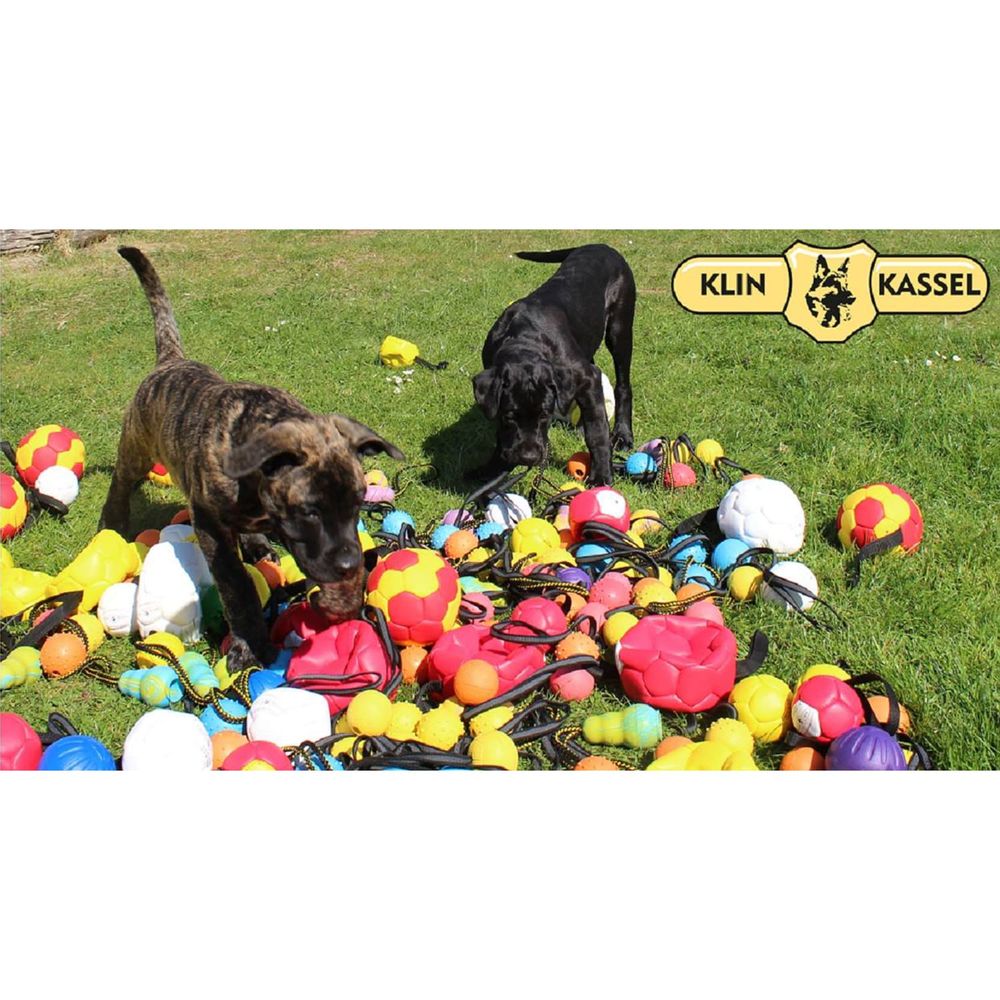 Juguete para Perros Soga con Pelota Rosa GENERICO