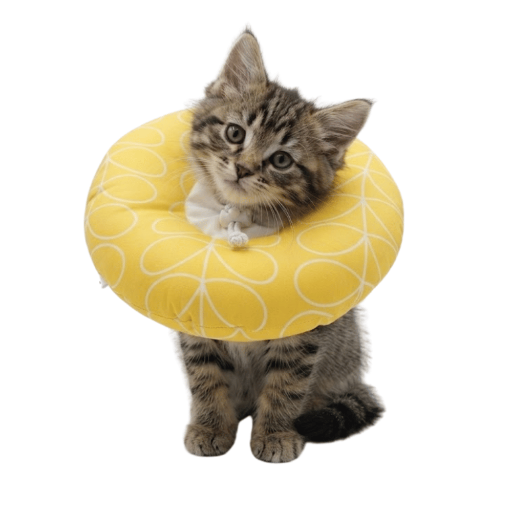 Dona Isabelina para Mascotas Talla L - Amarillo