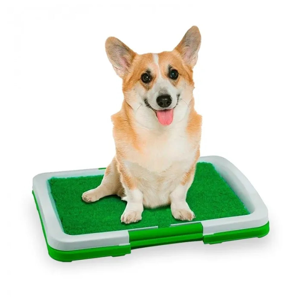 Césped Sintético Baño para Cachorros y Perros Pequeños - Ino