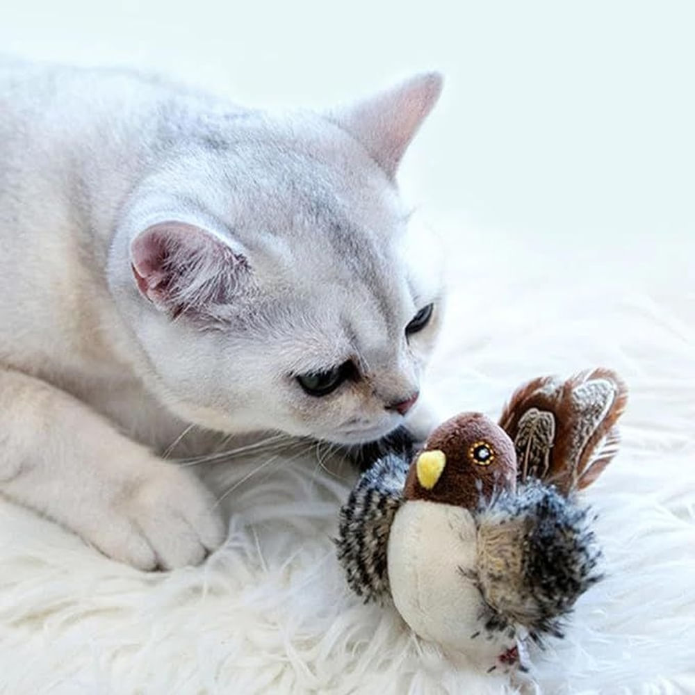 Pájaro Interactivo Para Gatos