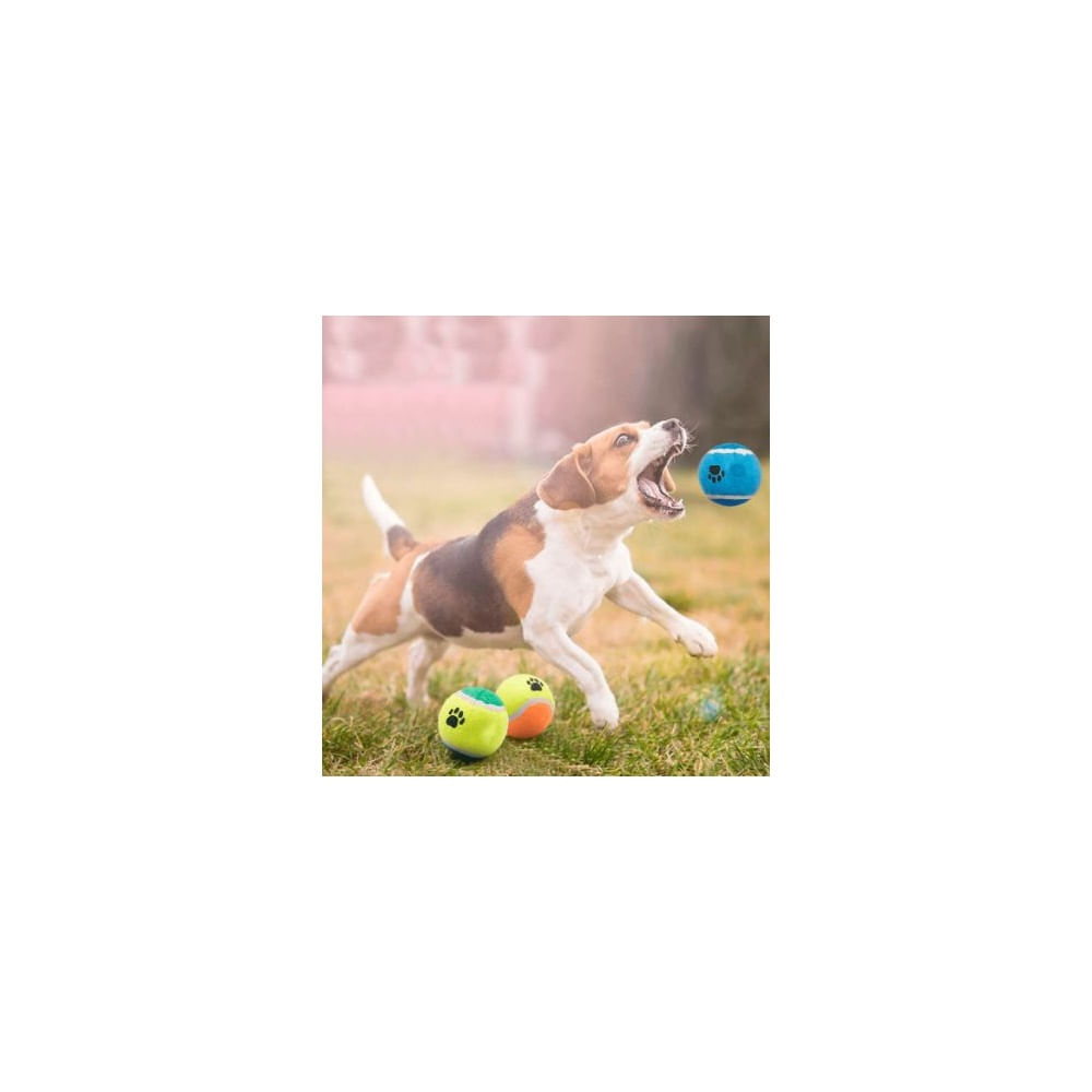 PELOTA DE TENIS PARA MASCOTAS - Juguete Resistente para Lanzar y Buscar