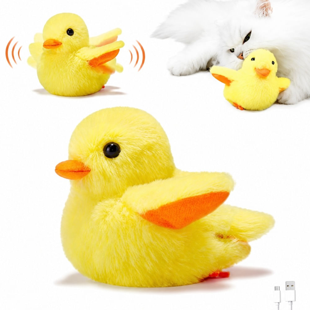 DUCKY CAT