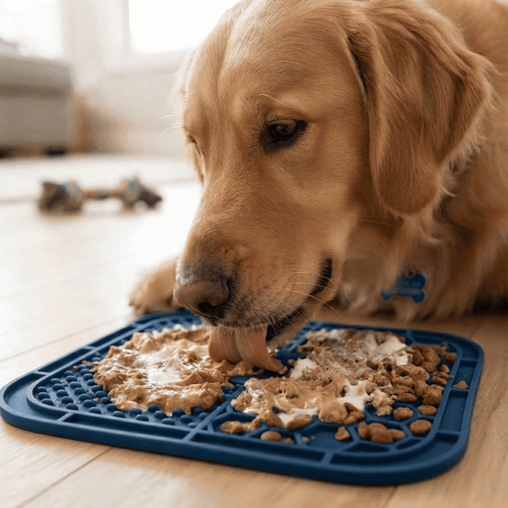 Plato Lick Mat Interactivo Antiestrés para Lamer con Doble Textura para Perros y Gatos - Azul