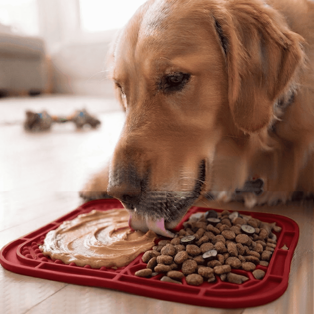 Plato Lick Mat Interactivo Antiestrés para Lamer con Doble Textura para Perros y Gatos - Rojo
