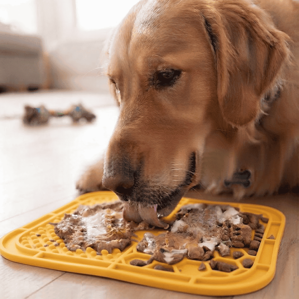 Plato Lick Mat Interactivo Antiestrés para Lamer con Doble Textura para Perros y Gatos - Amarillo
