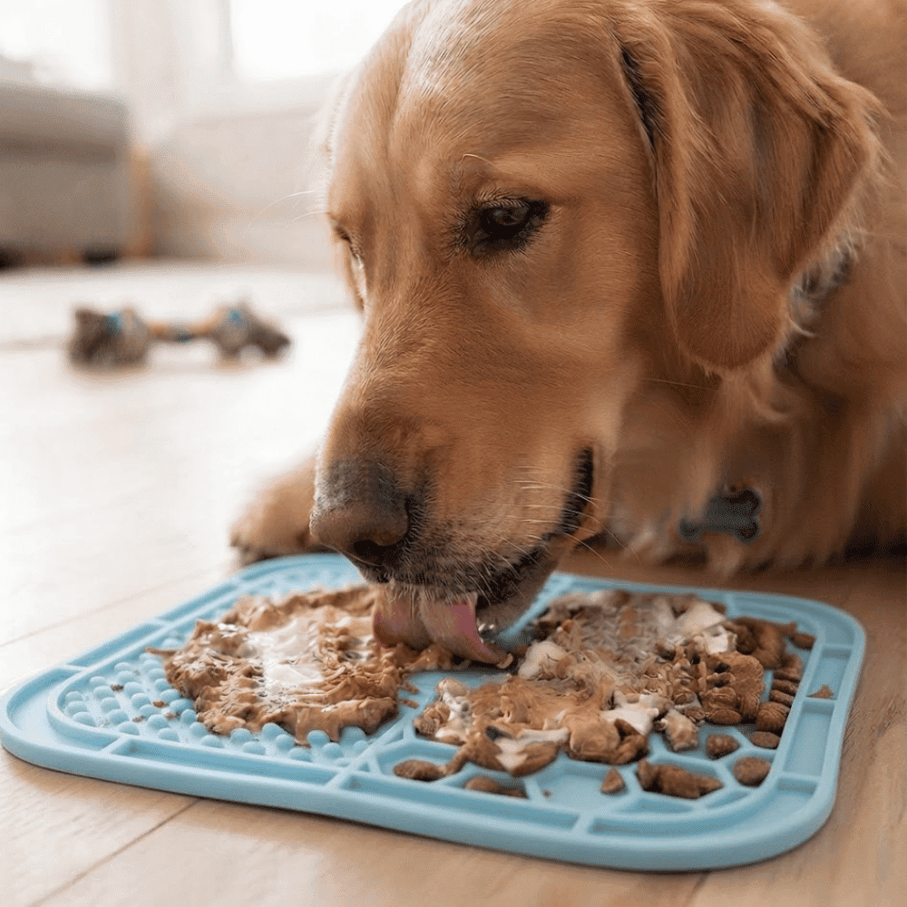 Plato Lick Mat Interactivo Antiestrés para Lamer con Doble Textura para Perros y Gatos - Celeste
