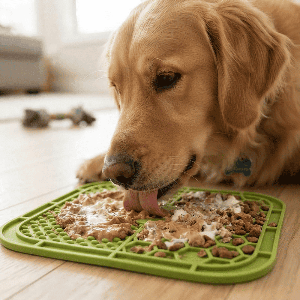 Plato Lick Mat Interactivo Antiestrés para Lamer con Doble Textura para Perros y Gatos - Verde