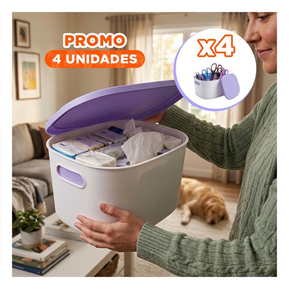 Pack4 Baul Multiuso Color Lila y Blanco Plastico con Tapa 26.5x22x15.4 cm YPapel Regalo