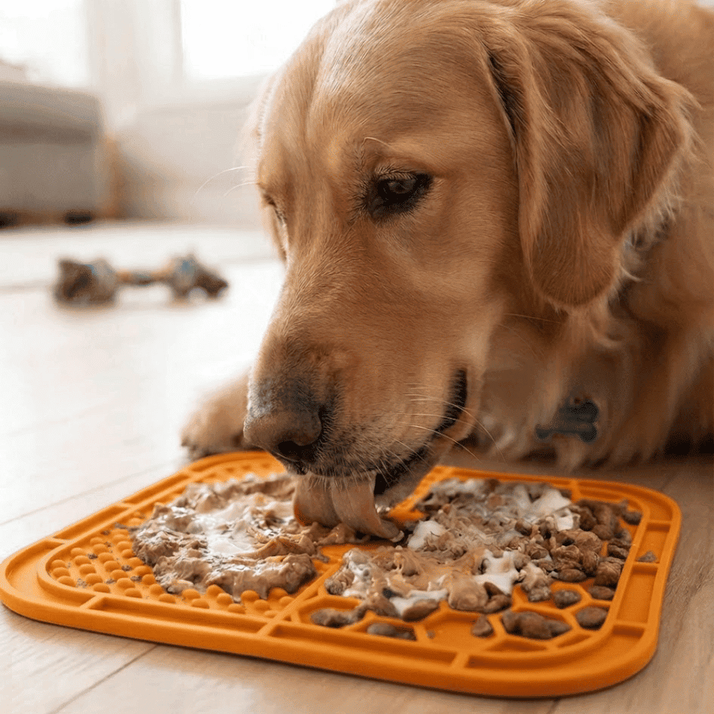 Plato Lick Mat Interactivo Antiestrés para Lamer con Doble Textura para Perros y Gatos - Anaranjado