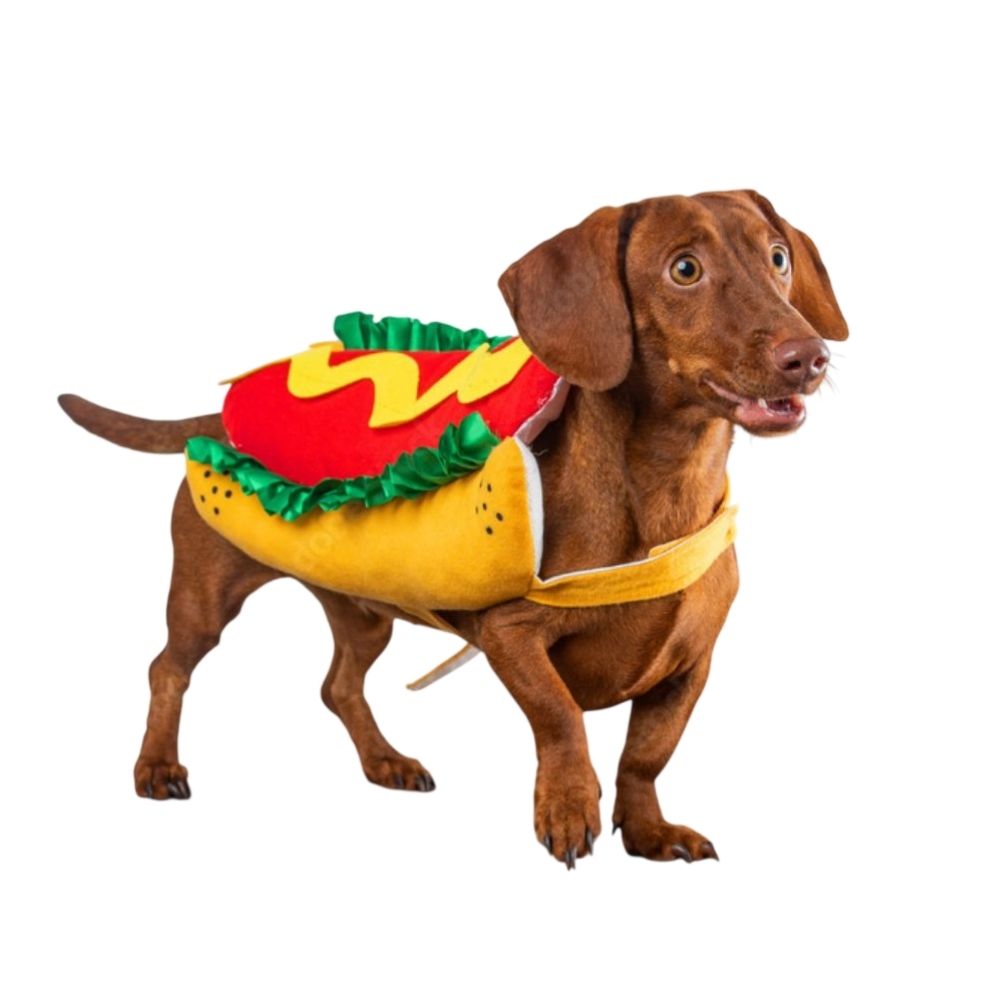 Disfraz HOTDOG para Mascotas HALLOWEEN S