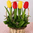 Image-3