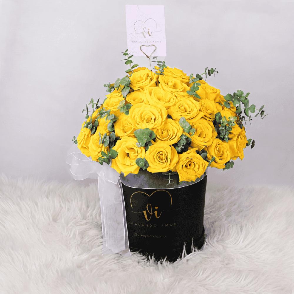Box de 50 rosas amarillas con silver dollar