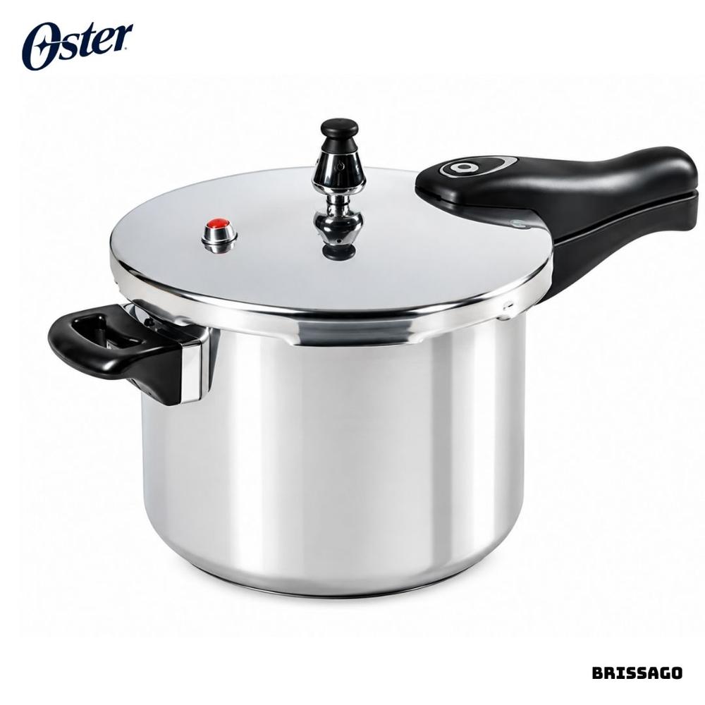 ARROCERA OSTER 5 L PLATEADO  - BRISSAGO