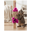imageUrl_1