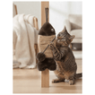 imageUrl_1