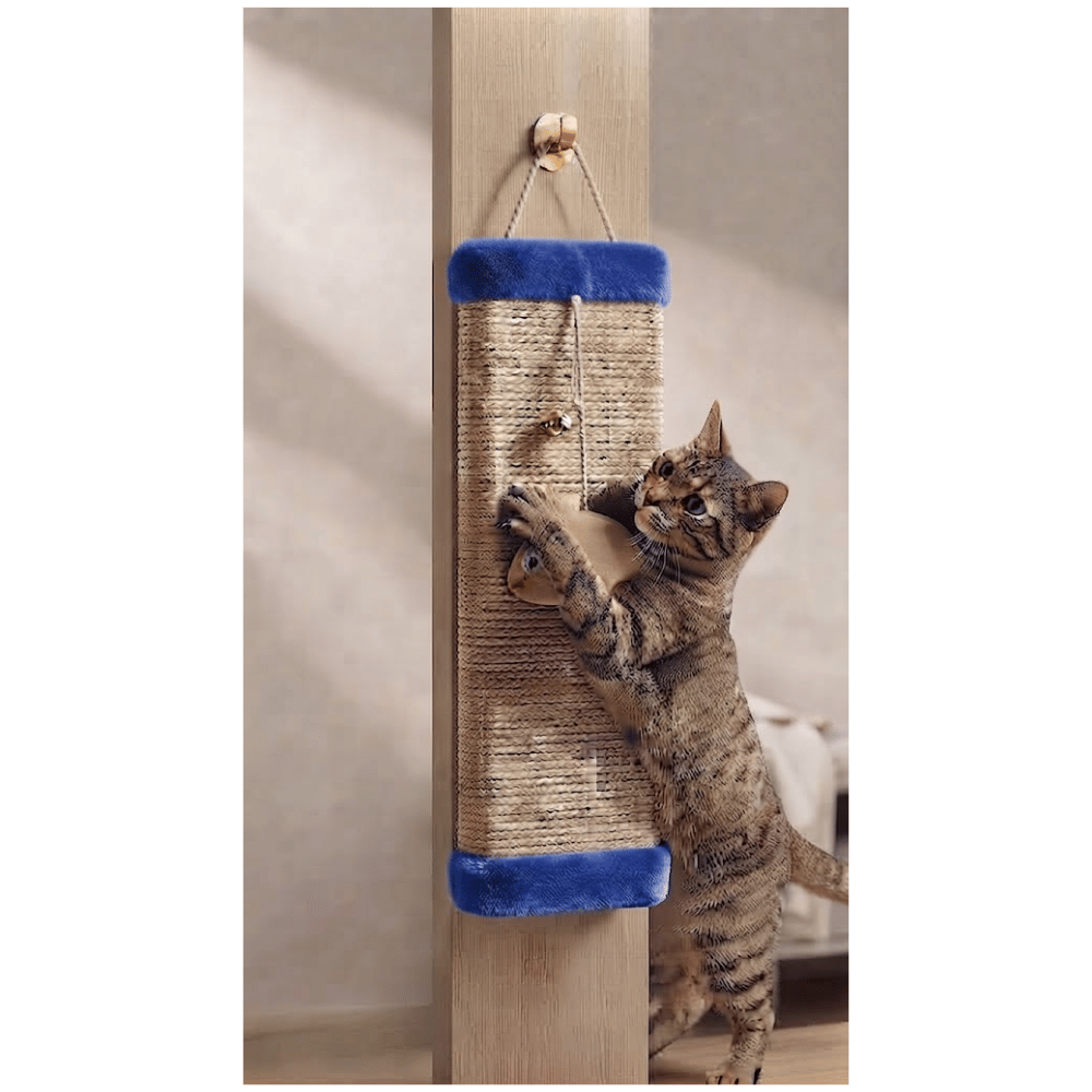 Rascador Colgante En Forma de Tabla Con Juguete Interactivo Para Gatos - Azul