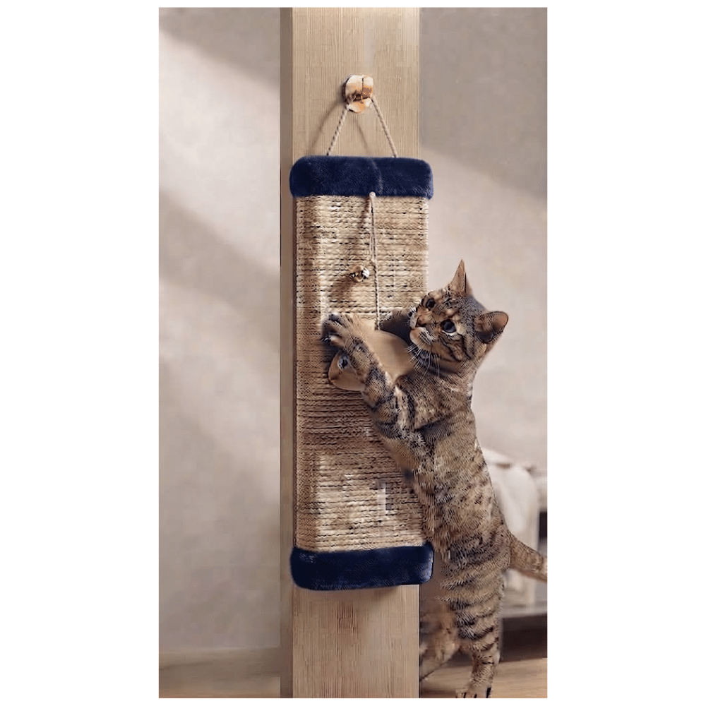 Rascador Colgante En Forma de Tabla Con Juguete Interactivo Para Gatos - Azul oscuro