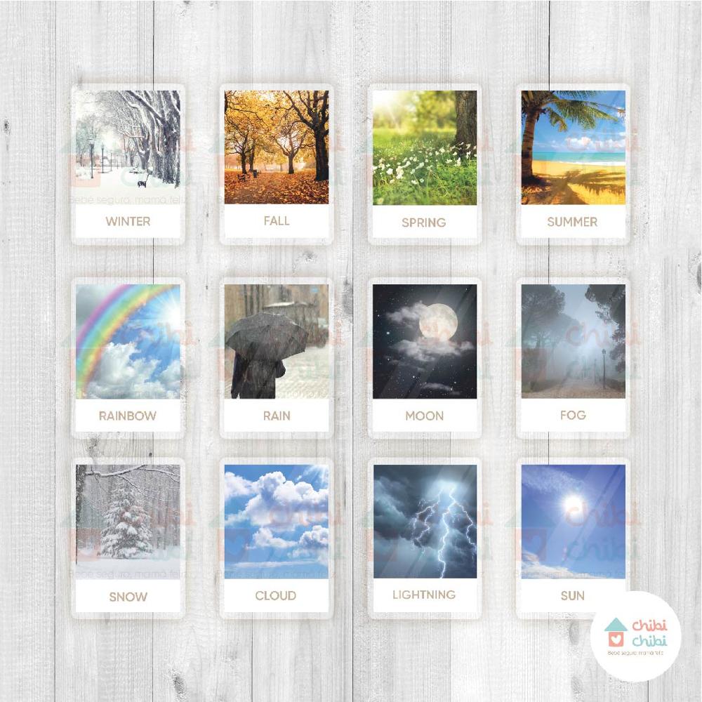 FLASHCARDS12 FICHASCAMBIOS CLIMATICOS