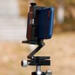 imageUrl_5