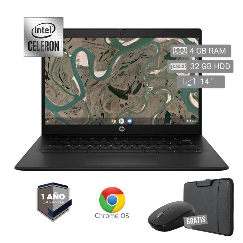 Image-1