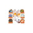 imageUrl_4