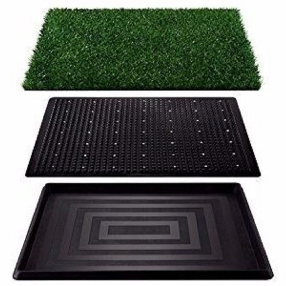 image-003e0297945e41cb8b5b005633ef9a8f image-003e0297945e41cb8b5b005633ef9a8f