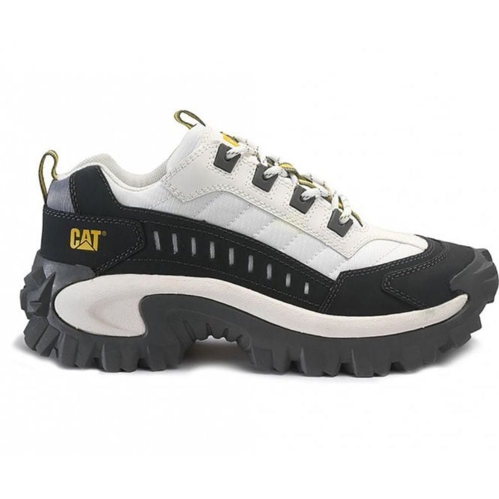 intruder shoe cat