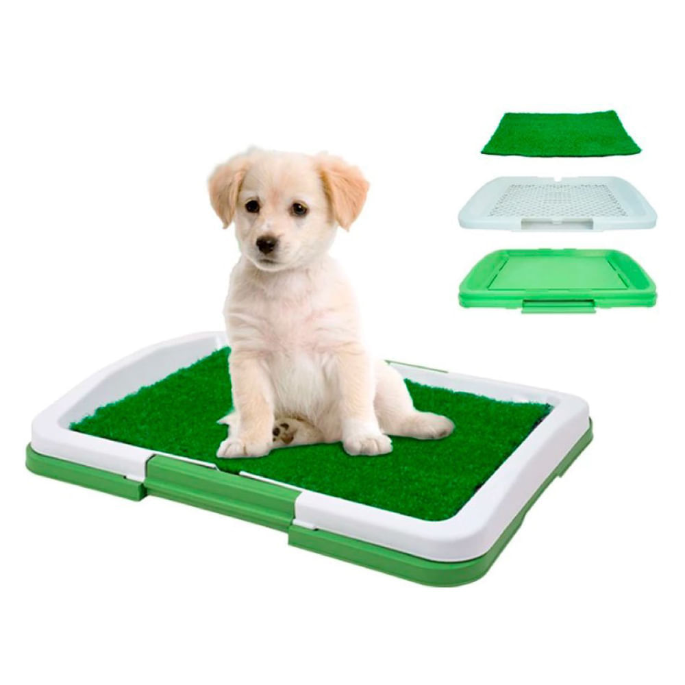 image-449a81221ea2424c8fca92b455e06982 image-449a81221ea2424c8fca92b455e06982