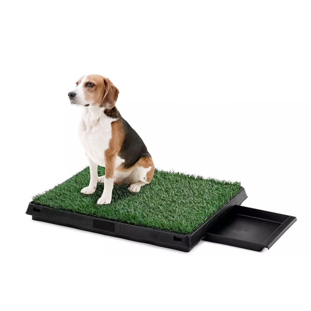 image-eb2e55ac7036459894066bcba510c2b7 image-eb2e55ac7036459894066bcba510c2b7