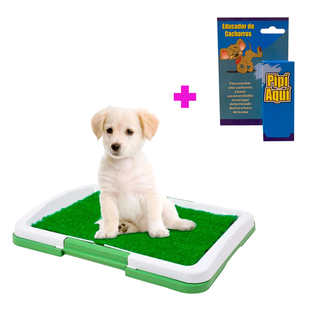 image-cdfcaa236f6f4fecaac734fed32e82c8 image-cdfcaa236f6f4fecaac734fed32e82c8