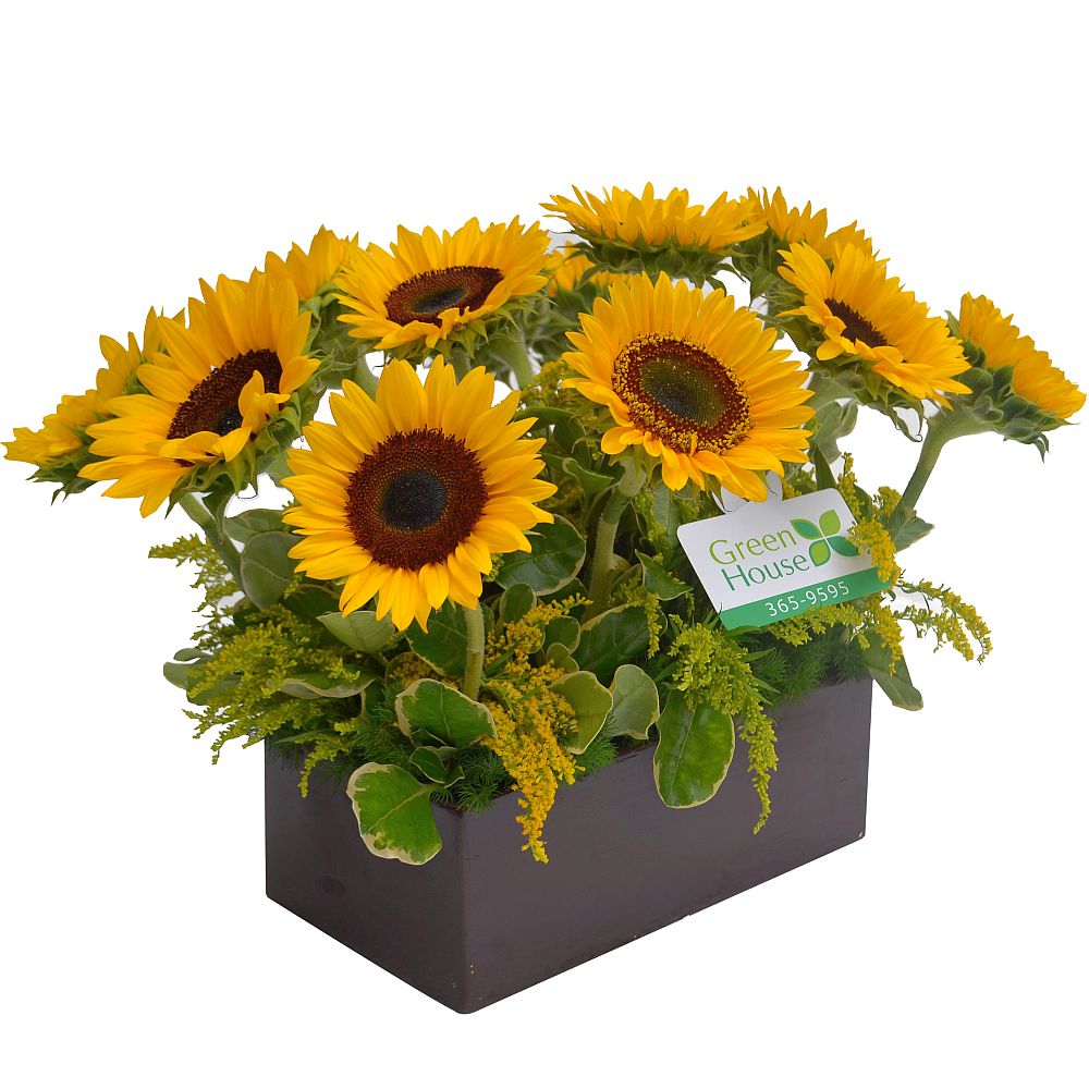 Arrreglo Floral Jardin de Girasoles