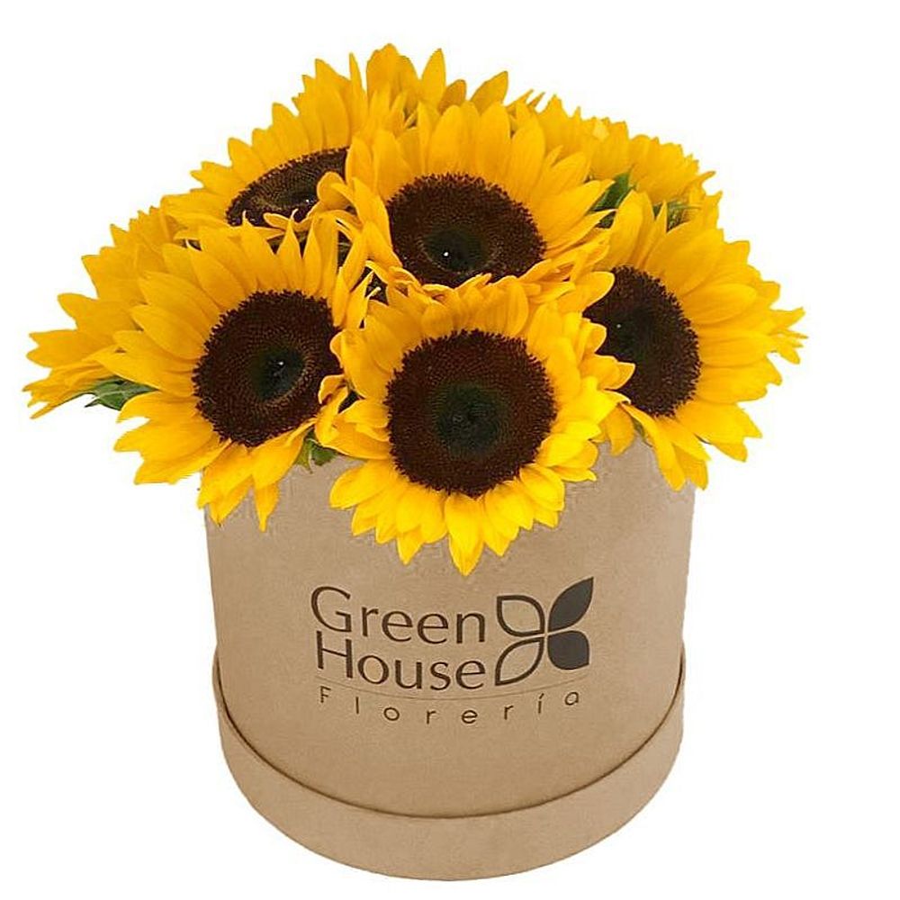 image-e83fae0d294442c9ae3ef8ec880a9471 image-e83fae0d294442c9ae3ef8ec880a9471