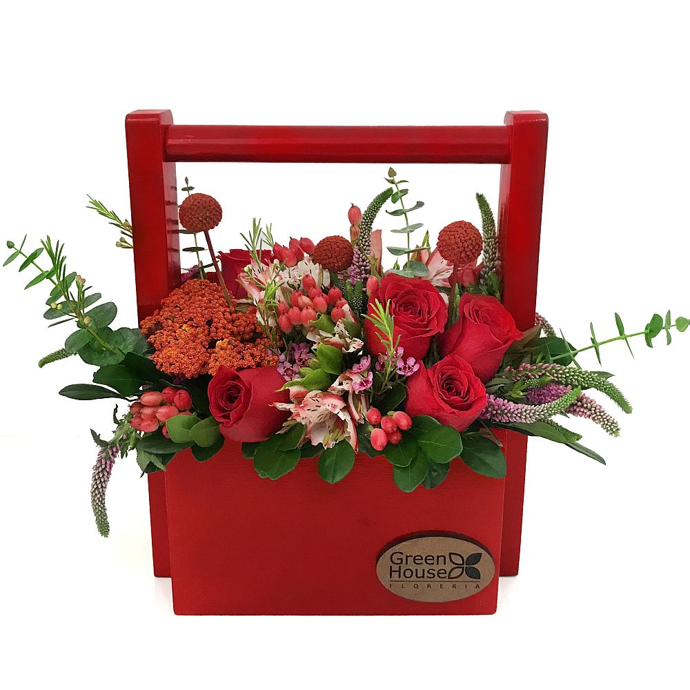 Arreglo Floral Linea Colors Jardinera Valentin