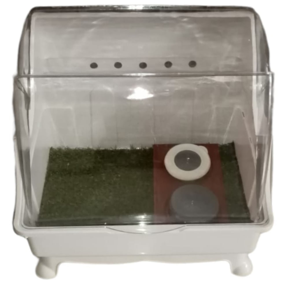 image-fcc0e8e858474b63ba00203a3cce4580 image-fcc0e8e858474b63ba00203a3cce4580