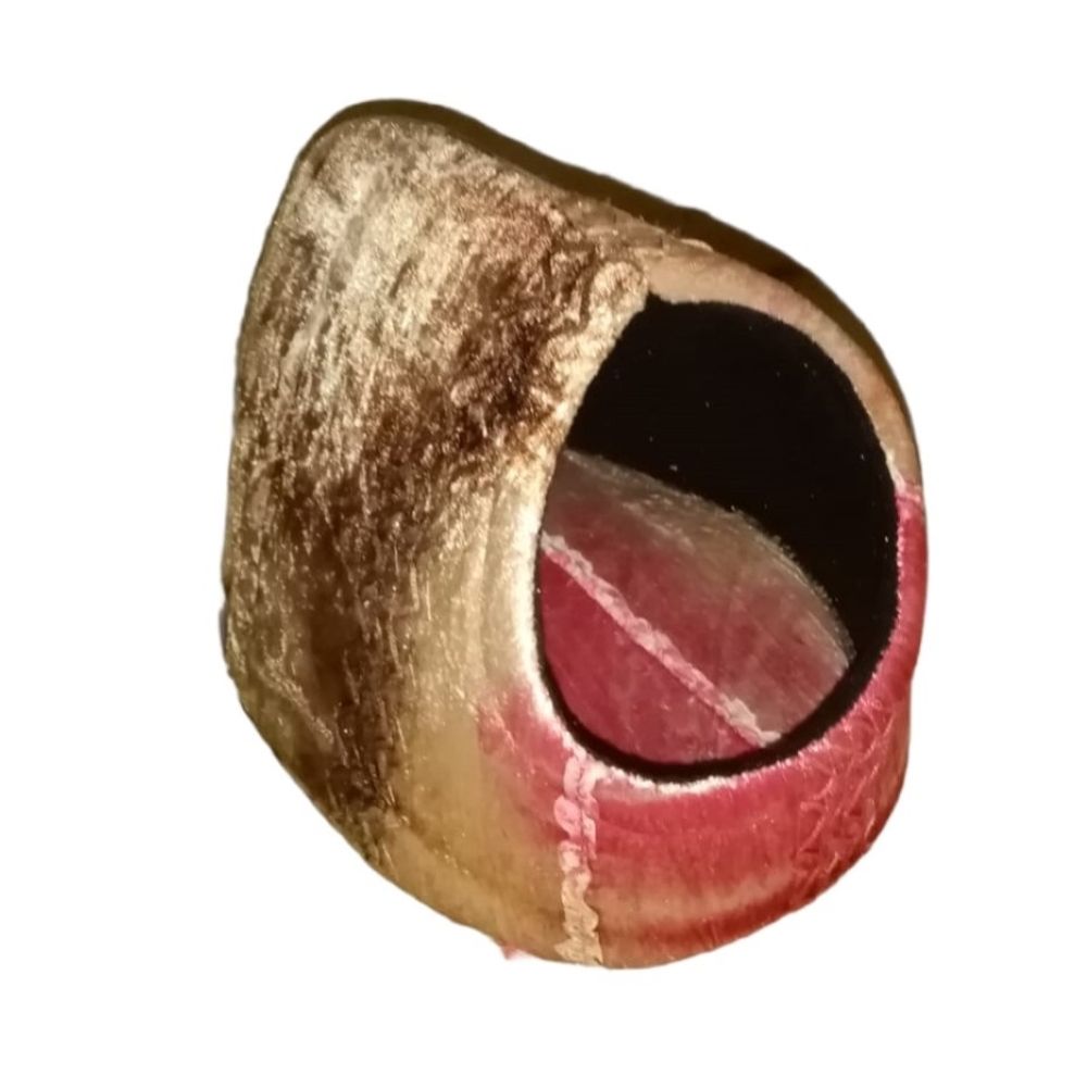 image-ca60da966be544d4b19407527b158fd2 image-ca60da966be544d4b19407527b158fd2