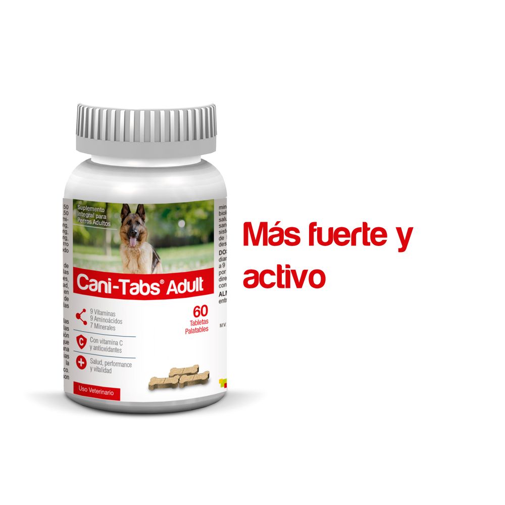 image-47d5675fb30b48c3803d313b287c58e8 image-47d5675fb30b48c3803d313b287c58e8