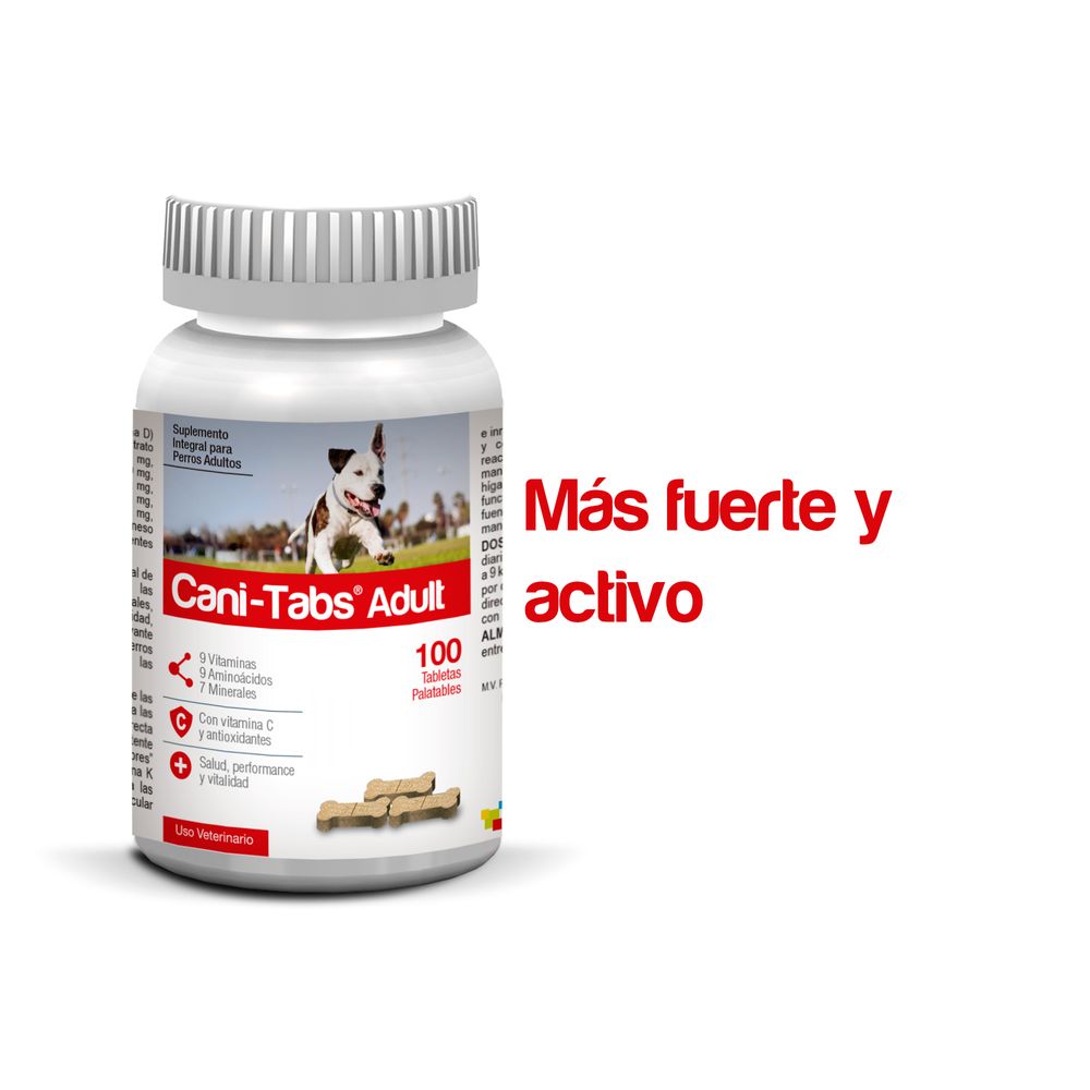 image-1b151866ee6d4b83a1415d2edf31b67c image-1b151866ee6d4b83a1415d2edf31b67c