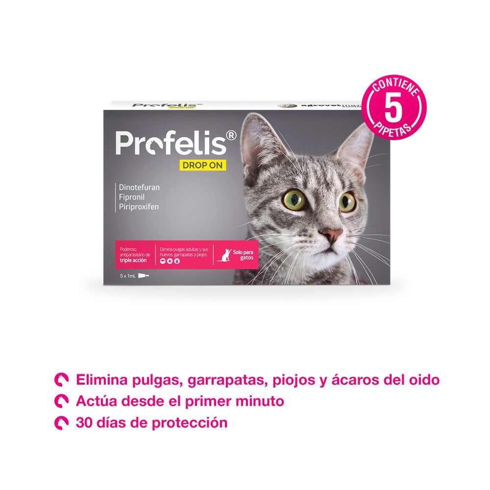 image-a808d150335a4c3c843c7fa271a9dd3e image-a808d150335a4c3c843c7fa271a9dd3e