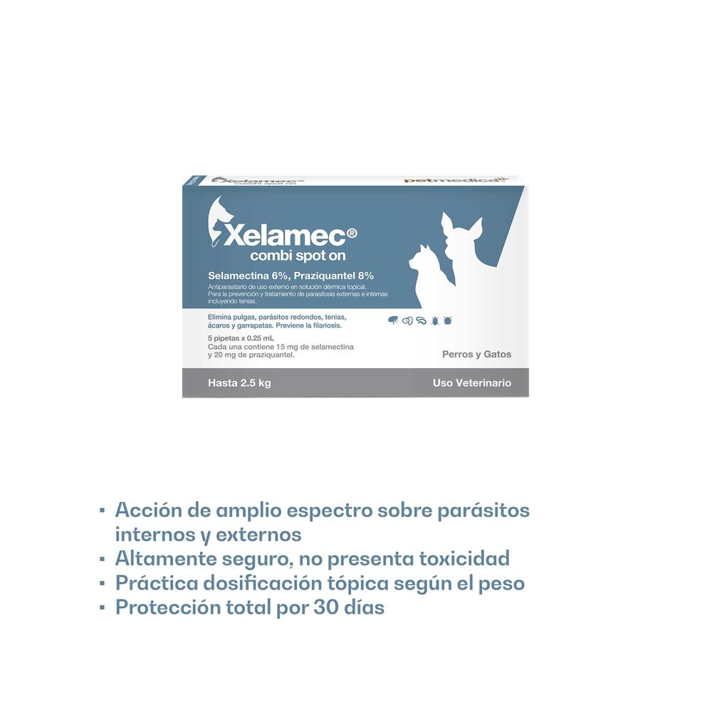 image-061dc64b8f2649f8ba0fd6bc2804699c image-061dc64b8f2649f8ba0fd6bc2804699c