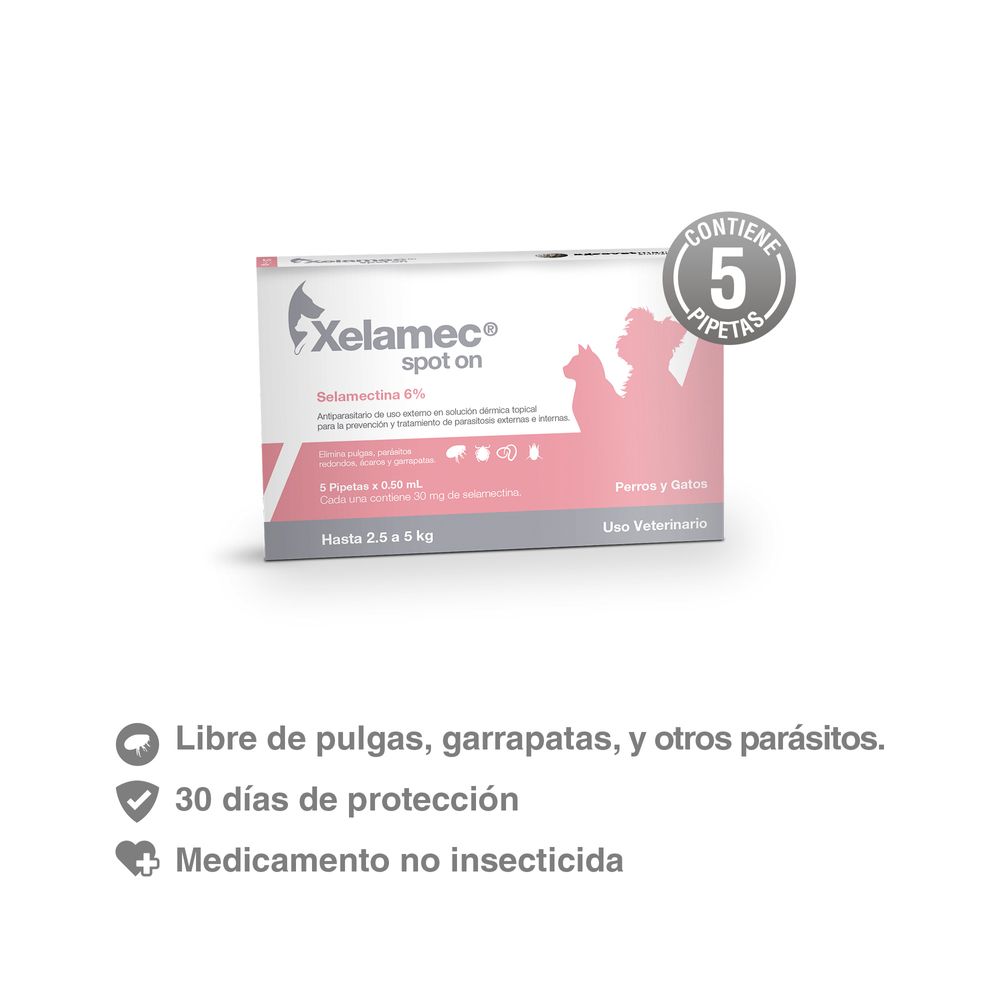 image-75f16b42cef04bb89cd71f9ac4d7ea78 image-75f16b42cef04bb89cd71f9ac4d7ea78