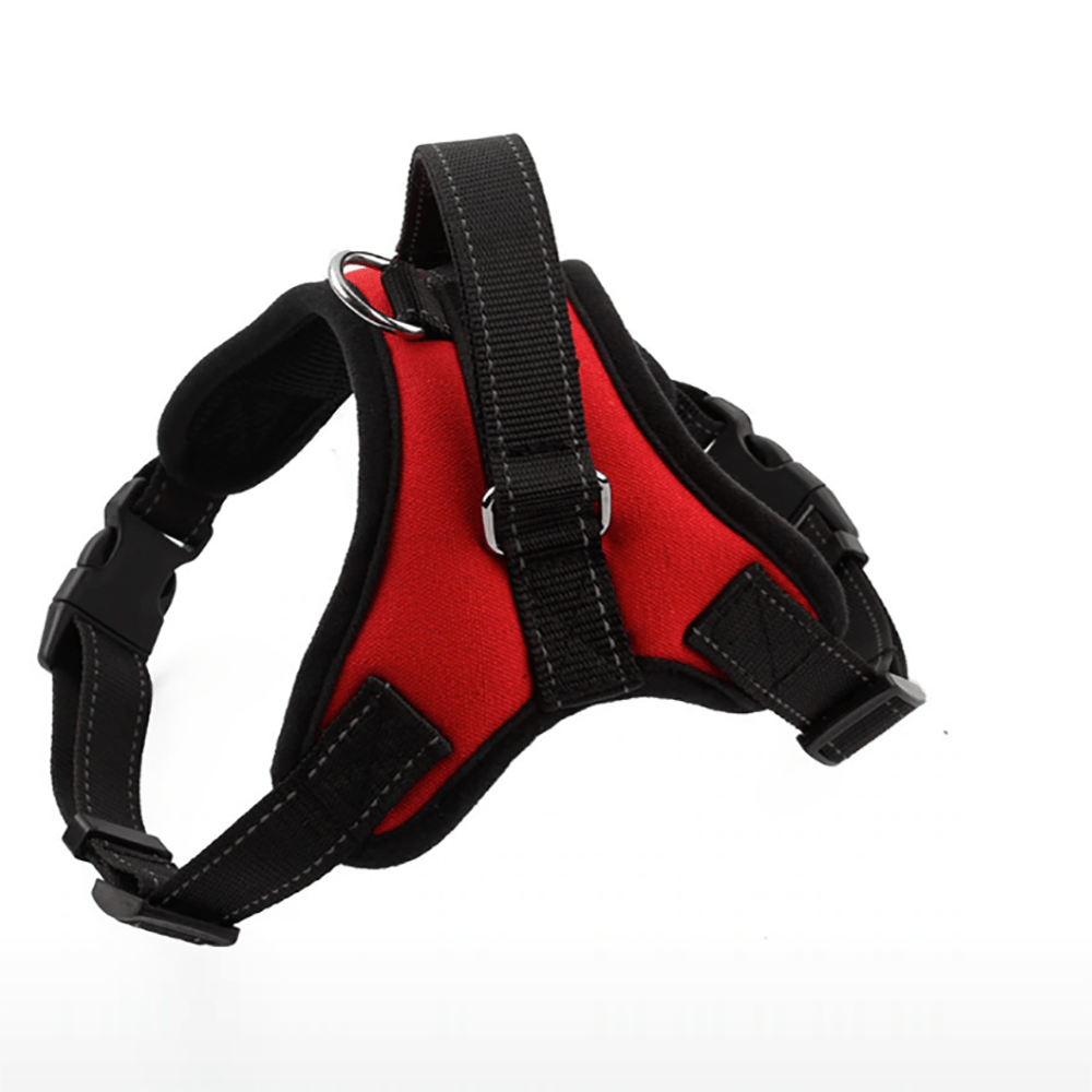 image-0233c251a3214e6b84ff4cef1a6a6f98 image-0233c251a3214e6b84ff4cef1a6a6f98