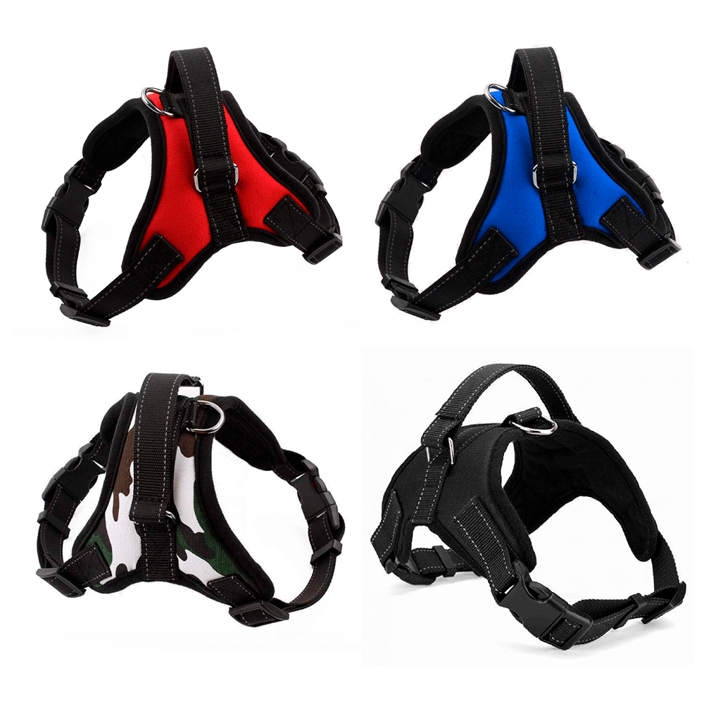 image-0ab99aa1a5e44cad91e30c28cc10e03a image-0ab99aa1a5e44cad91e30c28cc10e03a