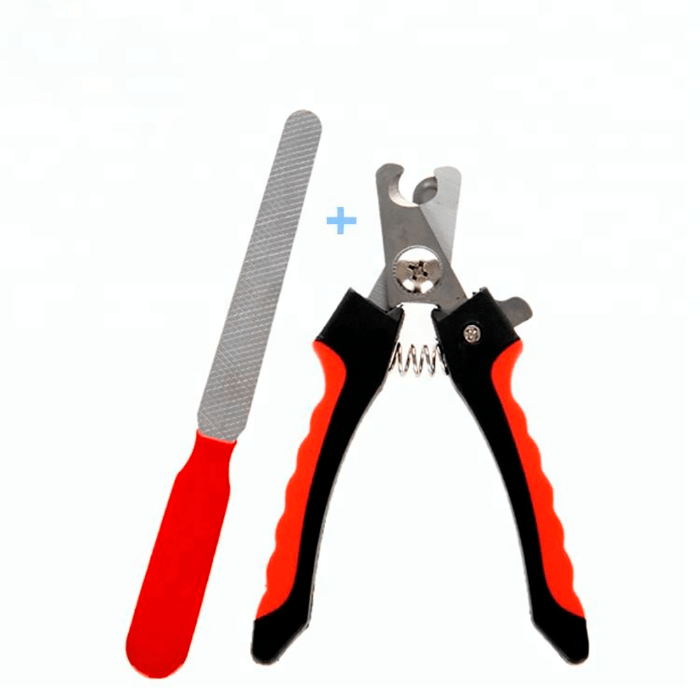 image-600011b8f8bc458a97ca58e9316daf7a image-600011b8f8bc458a97ca58e9316daf7a