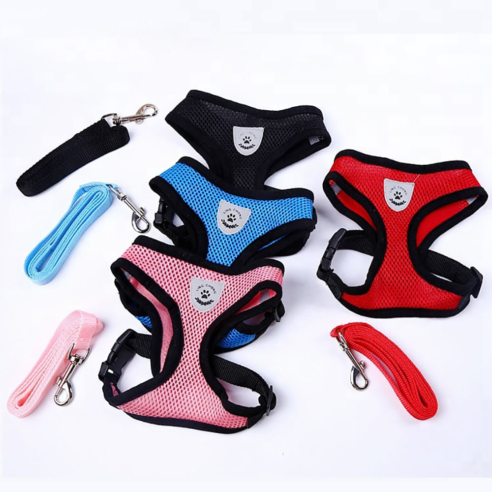 image-40da8db7fe6d45cda7b7348e7e4ffed3 image-40da8db7fe6d45cda7b7348e7e4ffed3