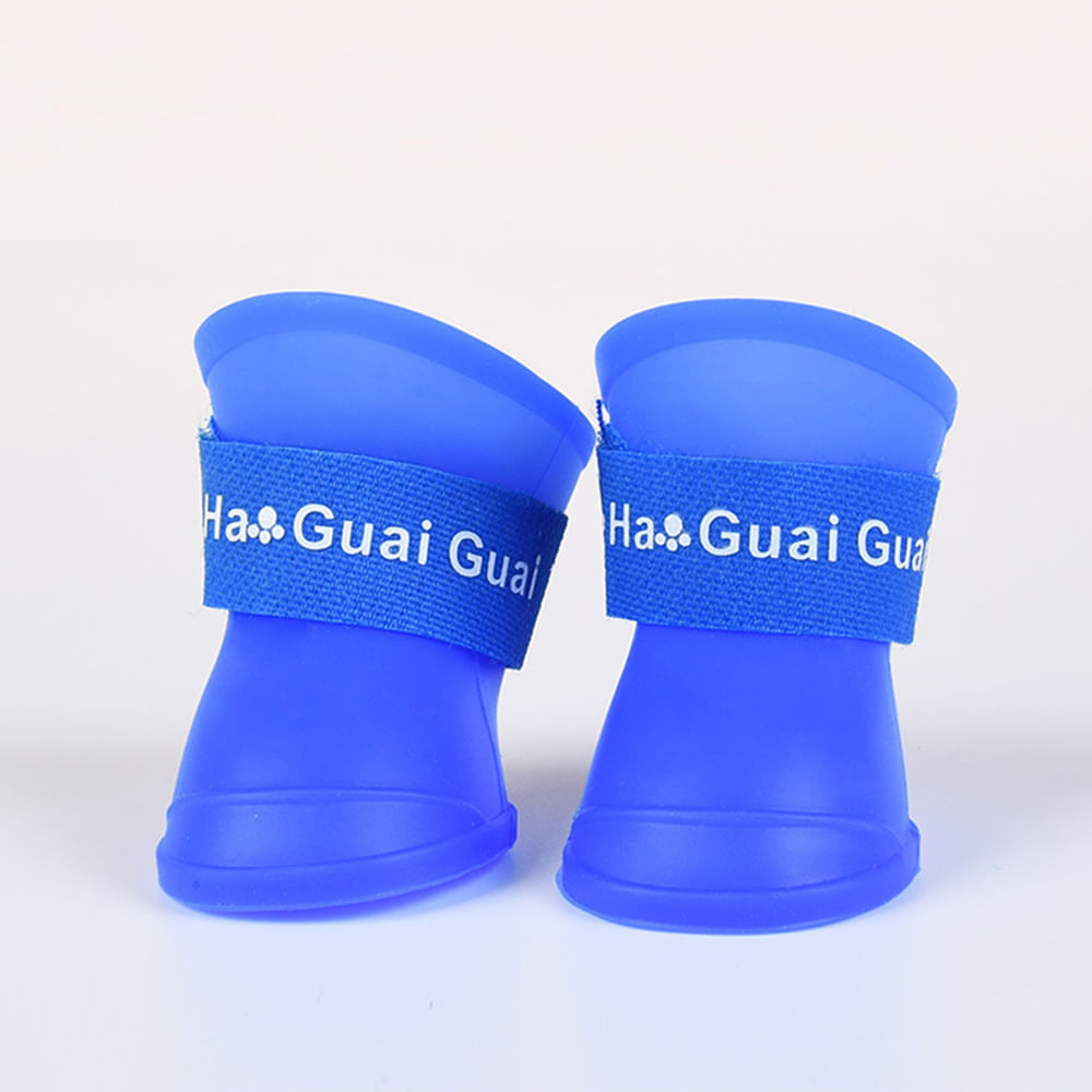 image-0470212a4cbf49d79053369aa9ac1fb5 image-0470212a4cbf49d79053369aa9ac1fb5