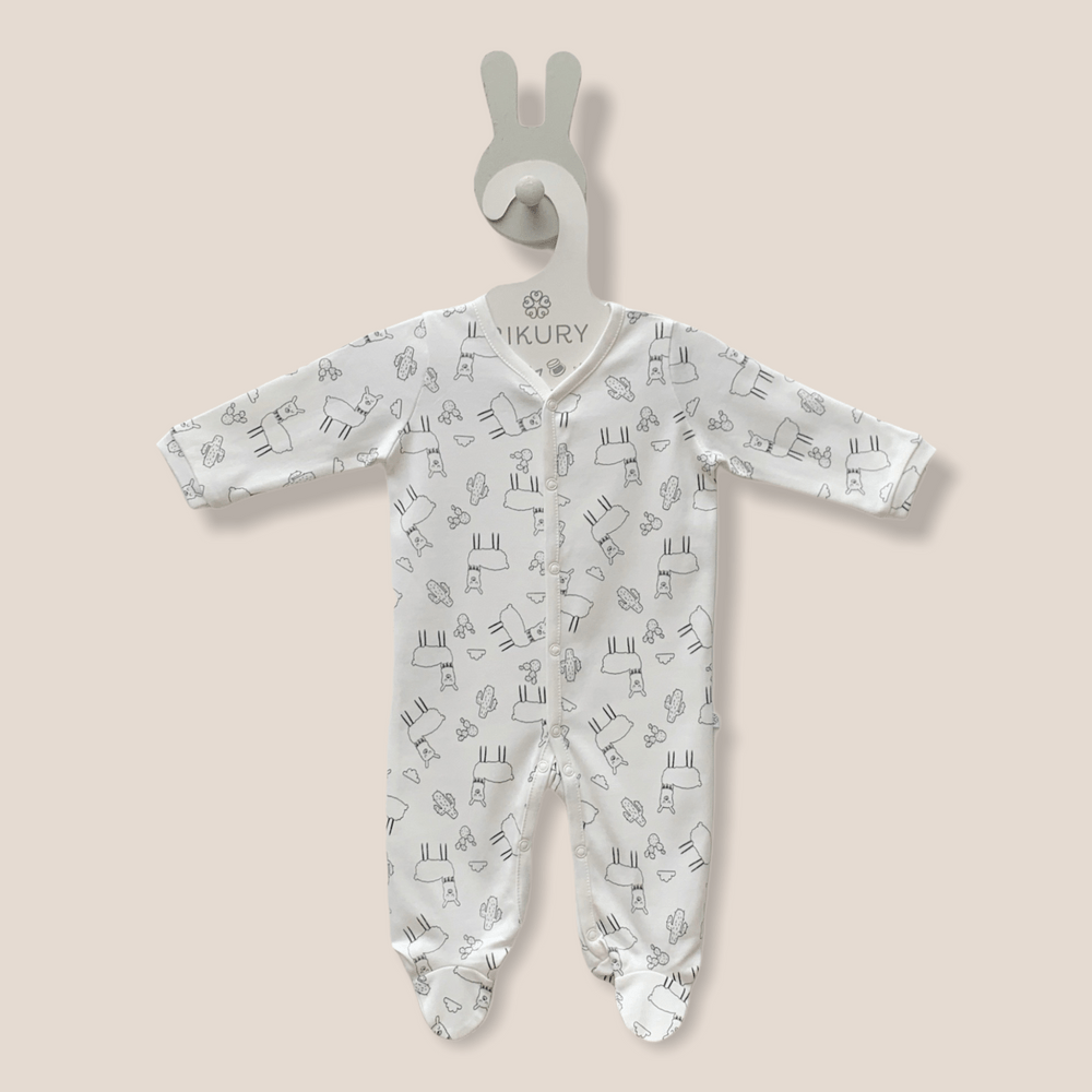 image-5c7decf403294034860e681f6be35bf2 image-5c7decf403294034860e681f6be35bf2