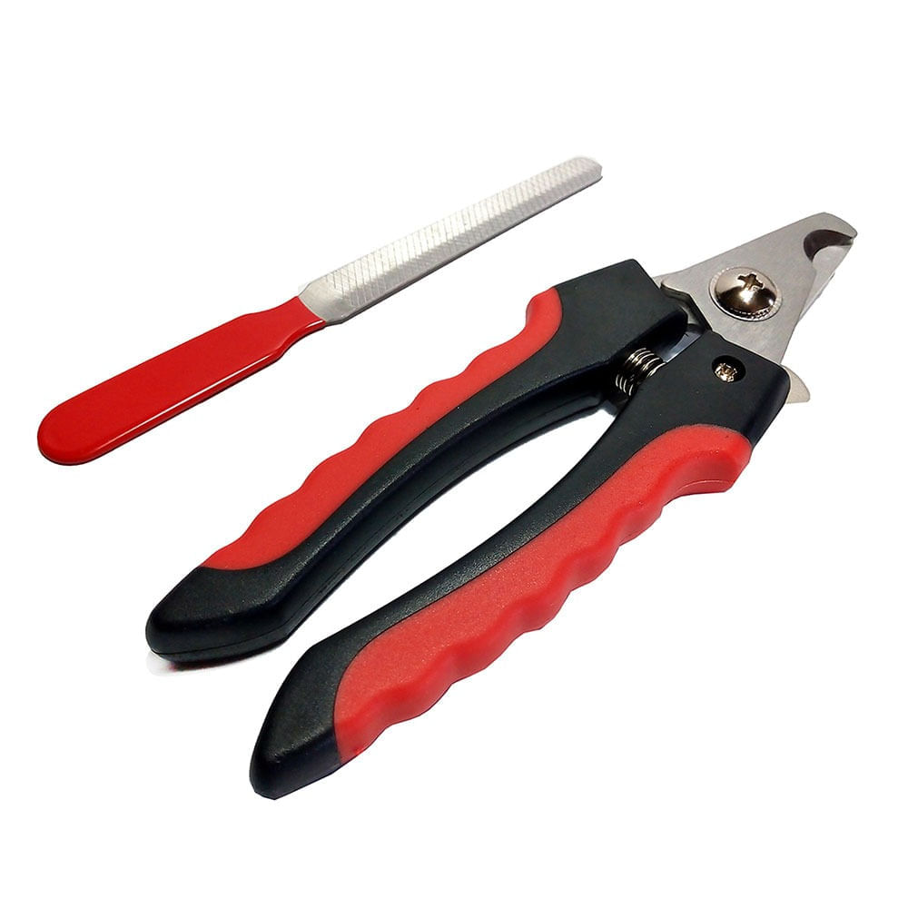 WhatsApp-Image-2021-11-03-at-6.07.04-PM WhatsApp-Image-2021-11-03-at-6.07.04-PM