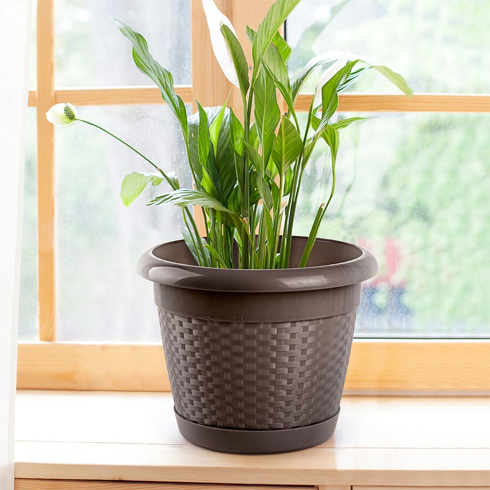 Maceta Garden Nogal #8 Polinplast