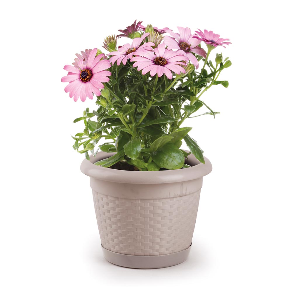 Maceta Garden Beige #5 Polinplast