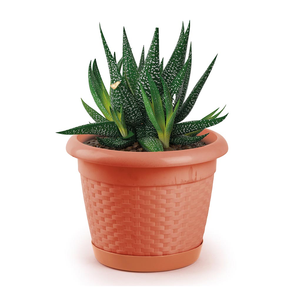 Maceta Garden Cerezo #7 Polinplast